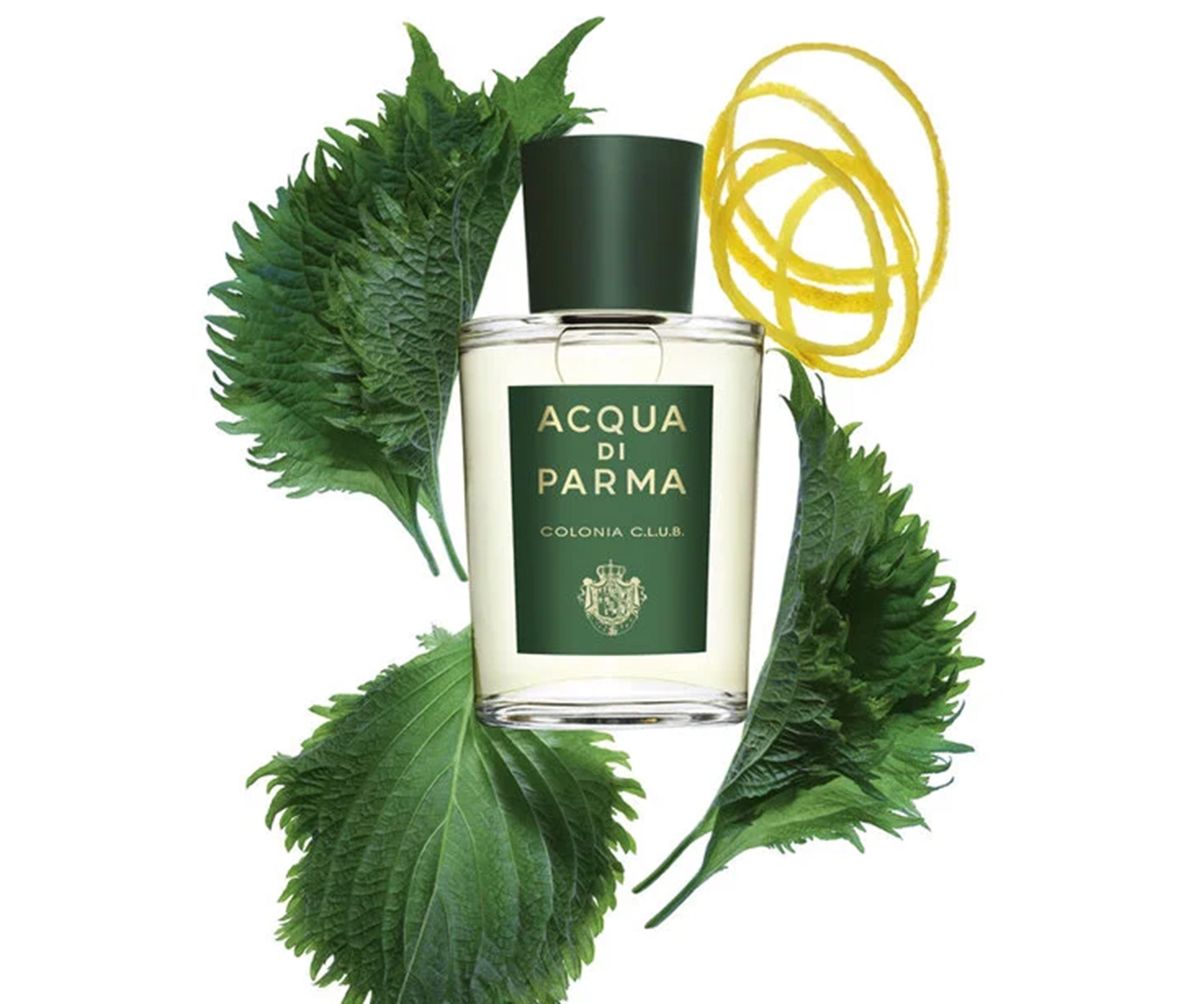 Acqua Di Parma Colonia C.L.U.B 180ml EDC