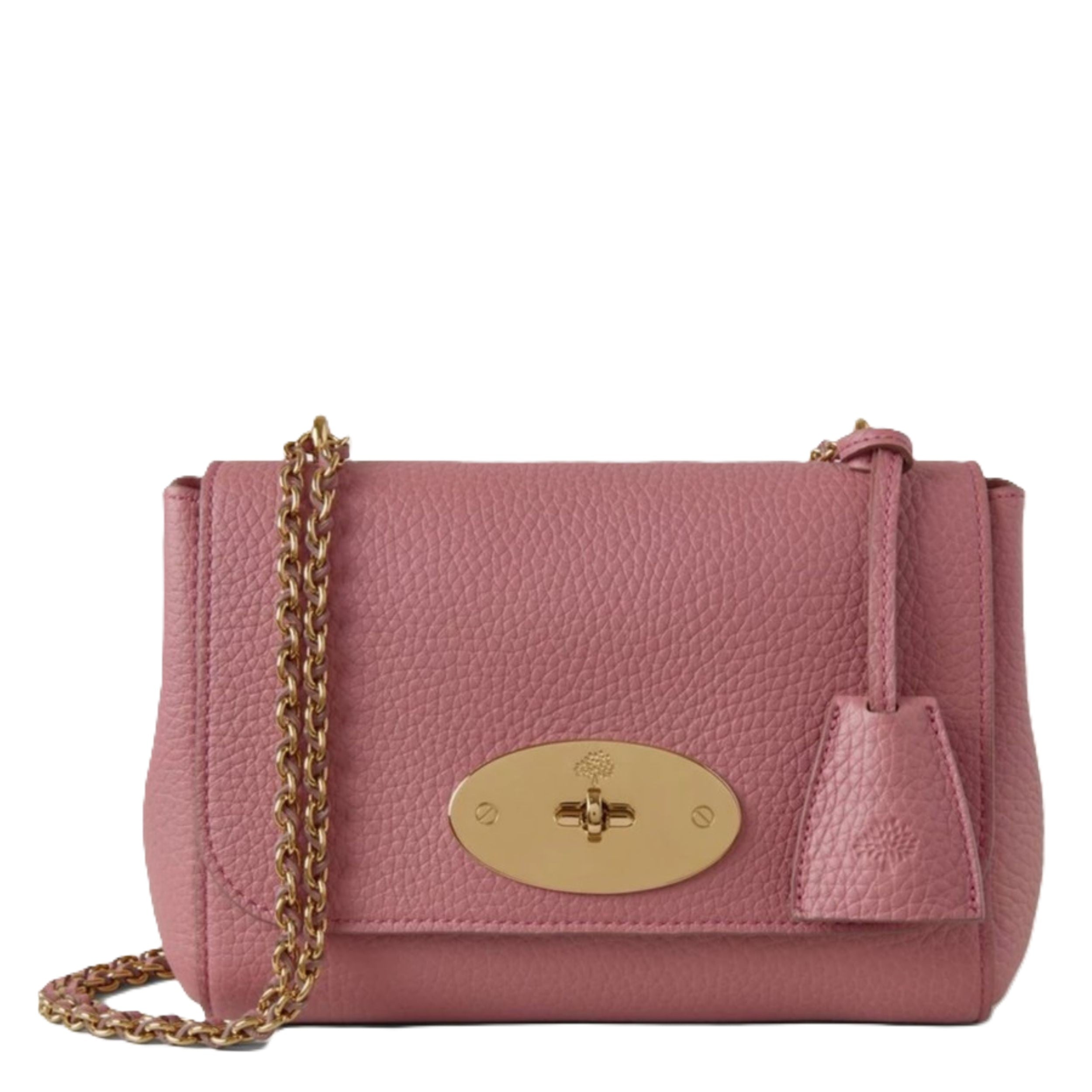 Pink handbag with gold chain and clasp on a white background
