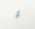 Blue logo of a person on a horse on a white background