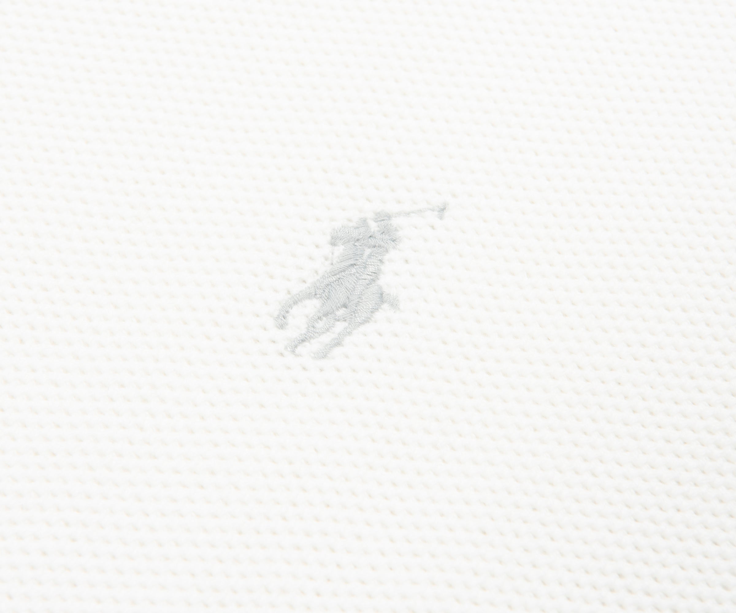 Polo Ralph Lauren logo on a white background